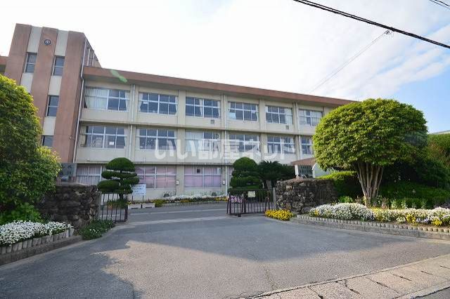 小学校　苅田町立　与原小学校（小学校）まで309m