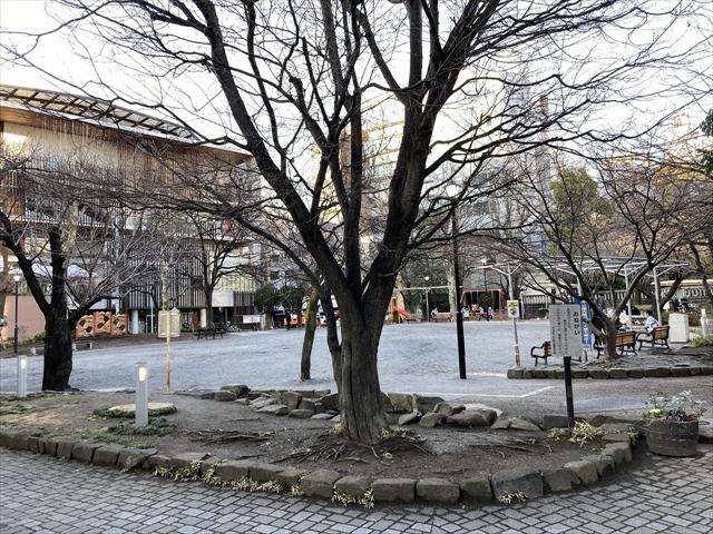 公園　中央区立鉄砲洲児童公園（公園）まで225m