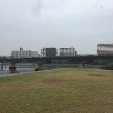 公園　勝島かもめ水辺広場（公園）まで1139m