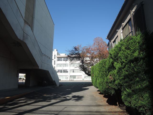 小学校　八王子市立第一小学校（小学校）まで596m