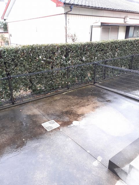 庭