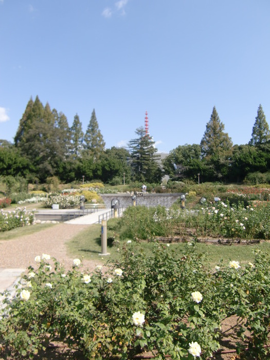 公園　靭公園（公園）まで170m