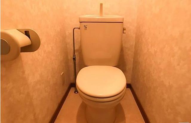 トイレ　他号室の写真になります。