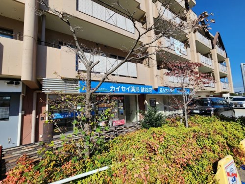 ドラックストア　カイセイ薬局岸辺店（ドラッグストア）まで715m