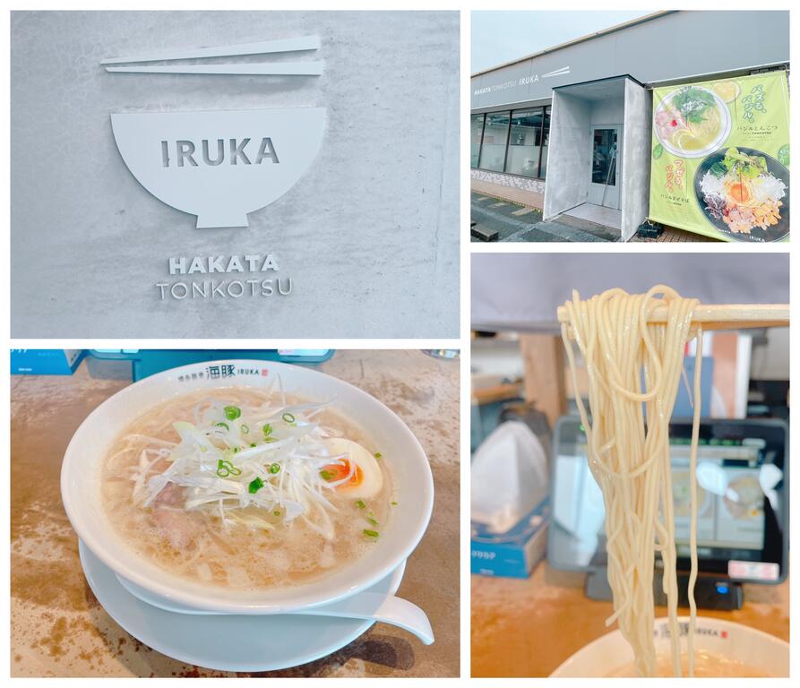 飲食店　海豚　博多豚骨　飯塚町（飲食店）まで1236m