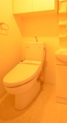 トイレ　※別部屋の参考写真です。