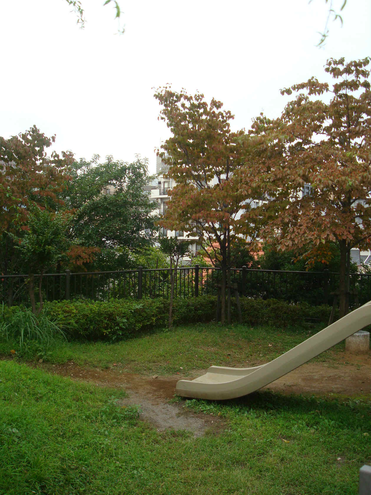 公園　大塚坂下町公園（公園）まで567m