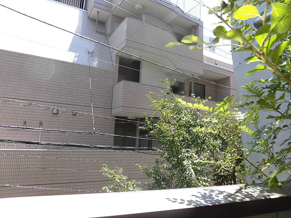 SETAGAYA TERRACEのその他写真