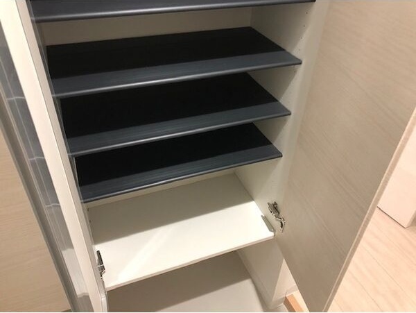 ミラネーゼ大通東 南館の玄関写真
