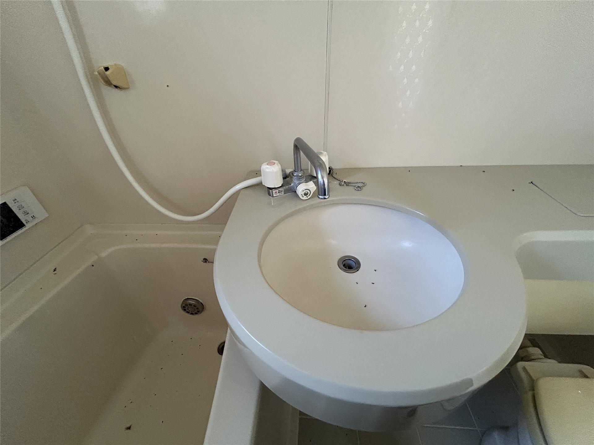 カメリアハイツIIIの内装写真