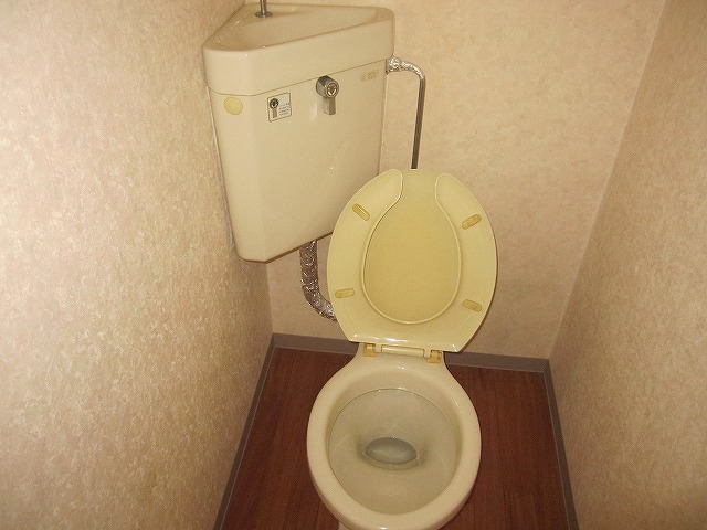 地下鉄四つ橋線 岸里駅 徒歩13分 5階建 築42年のトイレ写真