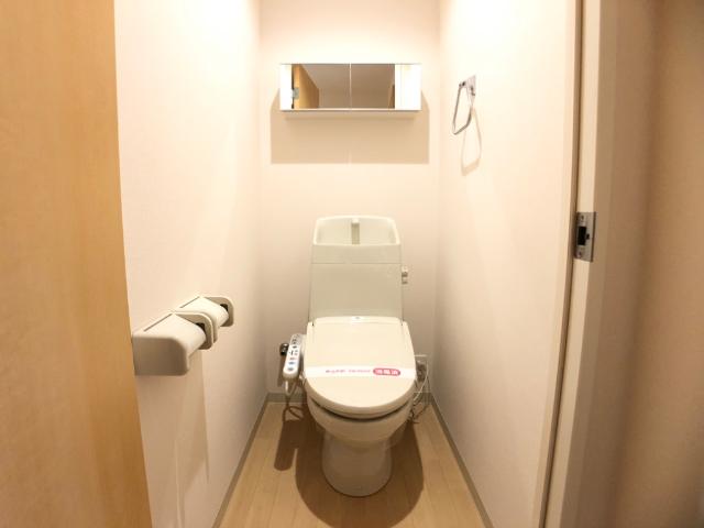 ＪＲ山陰本線 東山公園駅 徒歩17分 2階建 築13年のトイレ写真