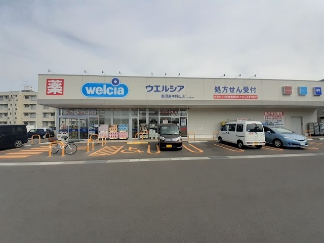 ドラックストア　ウェルシア　東中野山店（ドラッグストア）まで850m