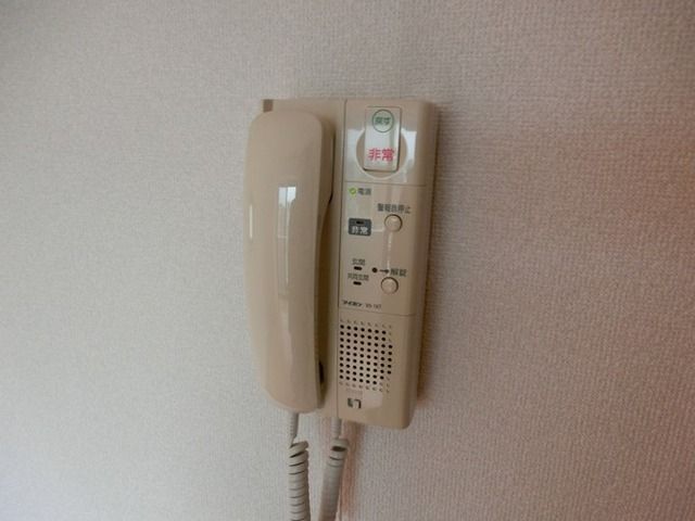 ヴィヴァンK.Yのその他写真