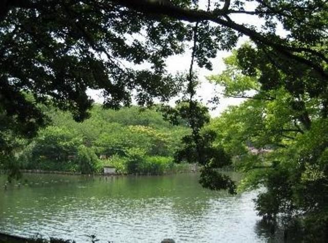 公園　洗足池公園（公園）まで200m