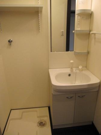 洗面設備　室内洗濯機置場