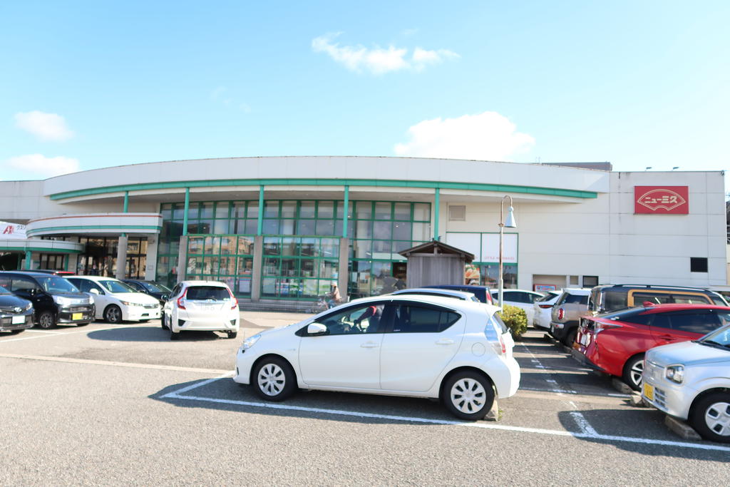 スーパー　ニュー三久泉が丘店（スーパー）まで235m