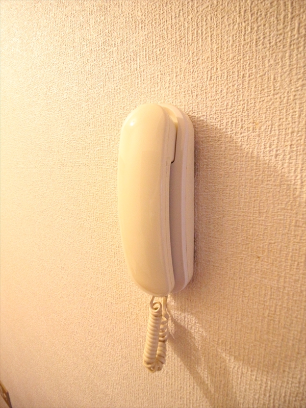 セキュリティ　インターホン