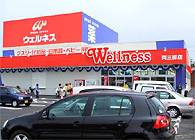 ドラックストア　ウェルネス両三柳店（ドラッグストア）まで371m