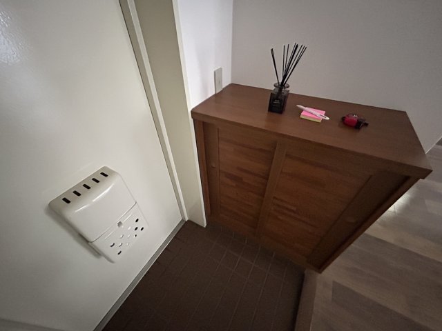 玄関　同物件、別号室のものです。