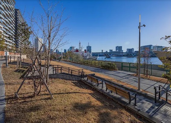 公園　晴海緑道公園（公園）まで40m