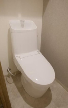 トイレ　※同仕様写真含む