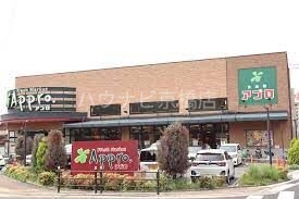 スーパー　食品館アプロ新森店（スーパー）まで672m