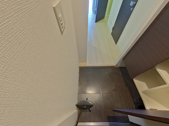 玄関　※別部屋の写真です