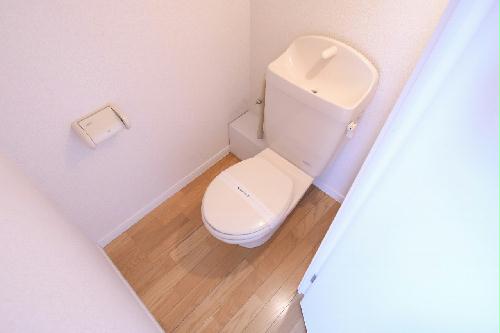 トイレ　現状優先。設置は現地と異なる可能性があります。