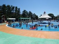 その他　市川市民プール（その他）まで1600m