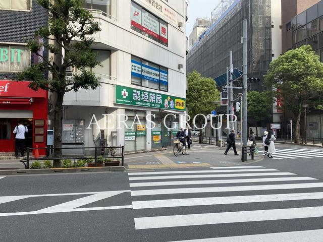 ドラックストア　稲垣薬局公園通り店（ドラッグストア）まで263m