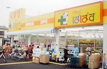 ドラックストア　どらっぐぱぱす柴又３丁目店（ドラッグストア）まで325m