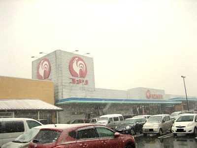 ホームセンター　コメリハード＆グリーン豊栄店（ホームセンター）まで1700m