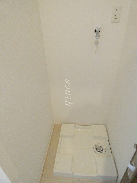 Abeliaのその他写真