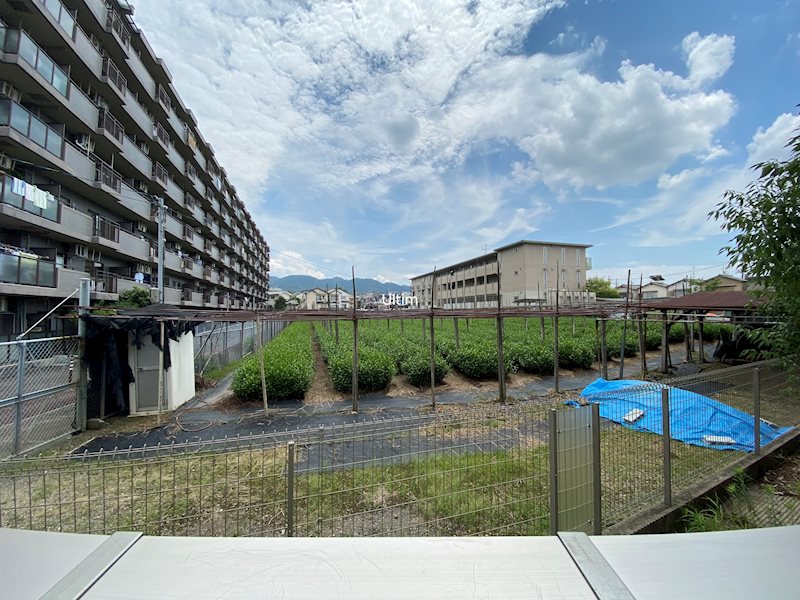 眺望　※他のお部屋です、ご参考までに