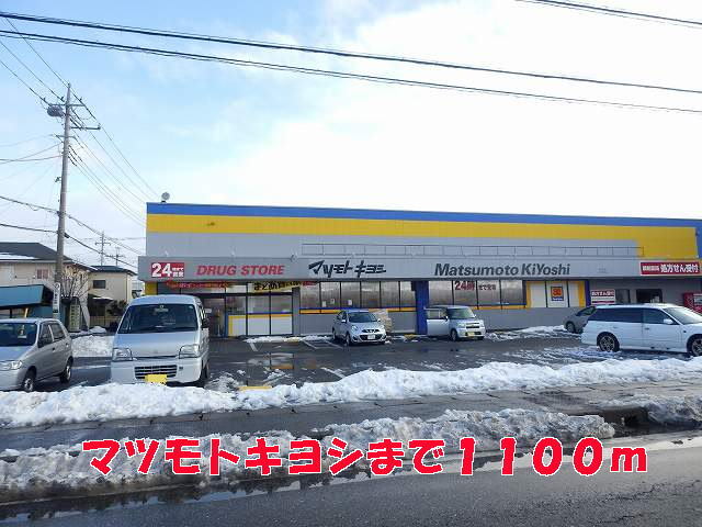その他　マツモトキヨシ（その他）まで1100m