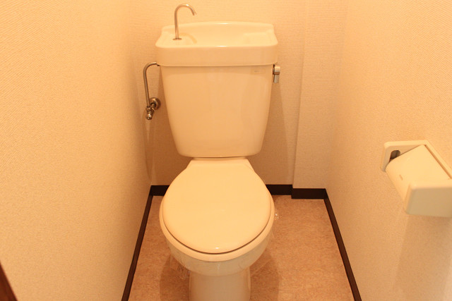 パークヒルズ南太平寺IIのトイレ写真