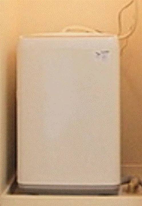 洗面設備　洗濯機置場