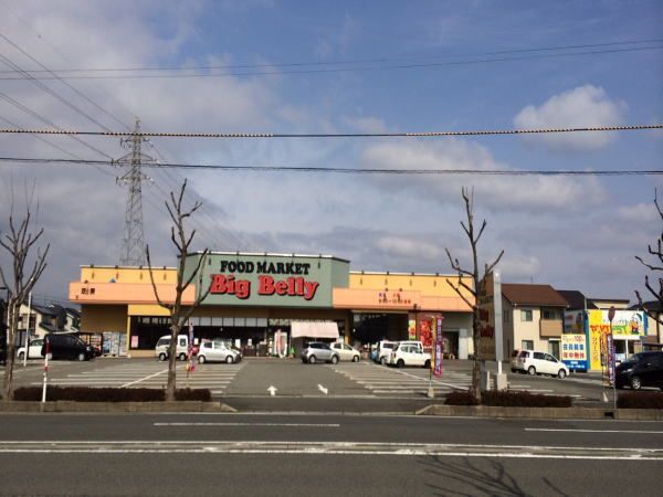 スーパー　ハニーBigBellyMark（スーパー）まで1100m