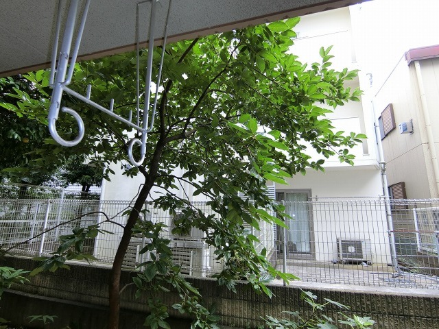 眺望　少し緑があるだけで癒しの空間になります。