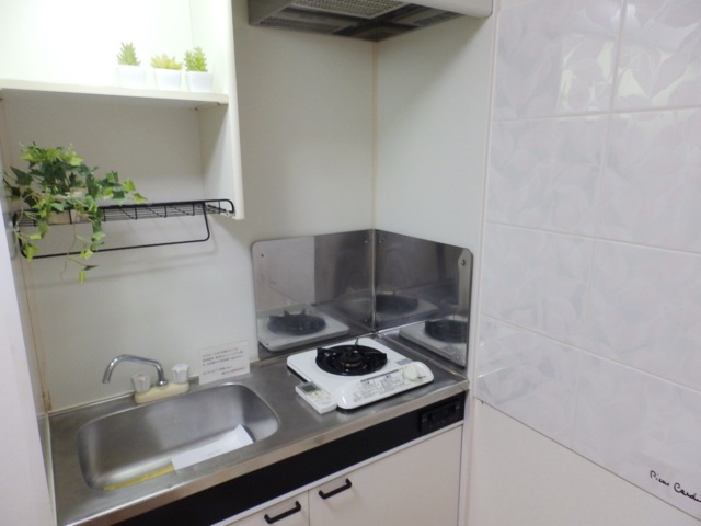 キッチン　プロパンガス仕様のキッチンです。※モデルルーム設置例