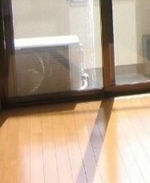 居室・リビング　きれいなお部屋