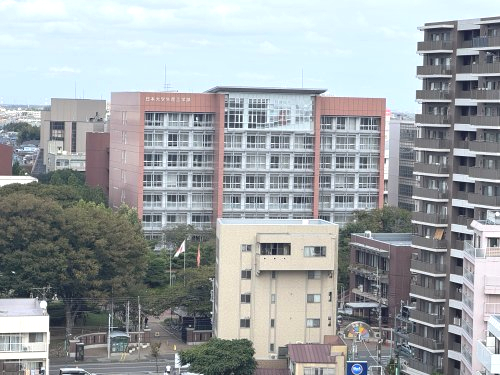 大学・短大　日本大学工学部（大学・短大）まで229m