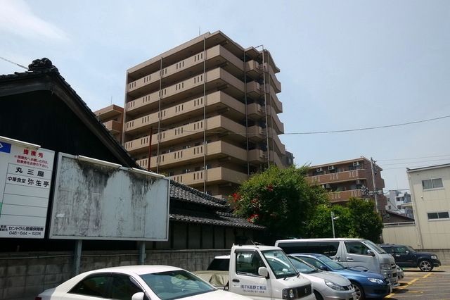 庭
