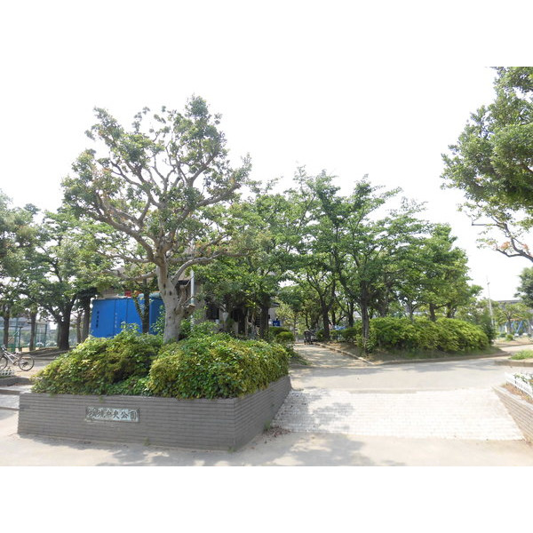 公園　塩焼中央公園（公園）まで354m