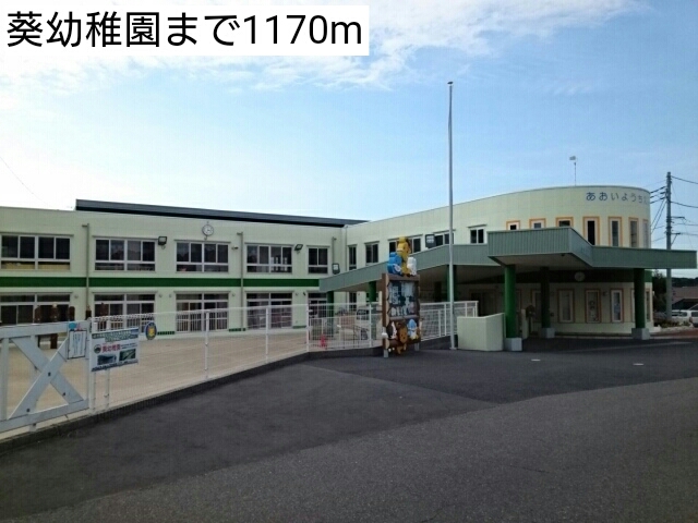 幼稚園・保育園　葵幼稚園（幼稚園・保育園）まで1170m