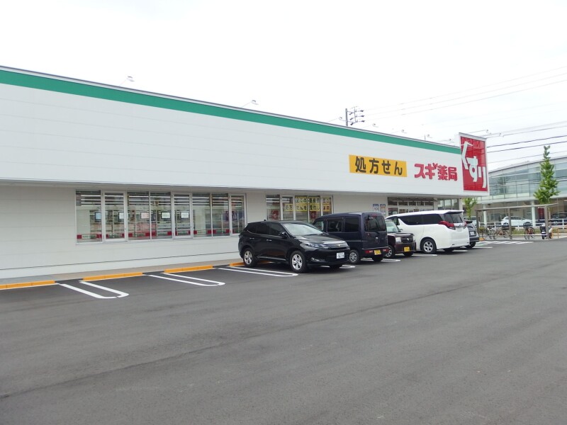 ドラックストア　スギ薬局牧御堂店（ドラッグストア）まで973m