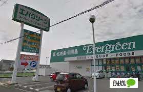 ドラックストア　エバグリーン紀三井寺店（ドラッグストア）まで250m