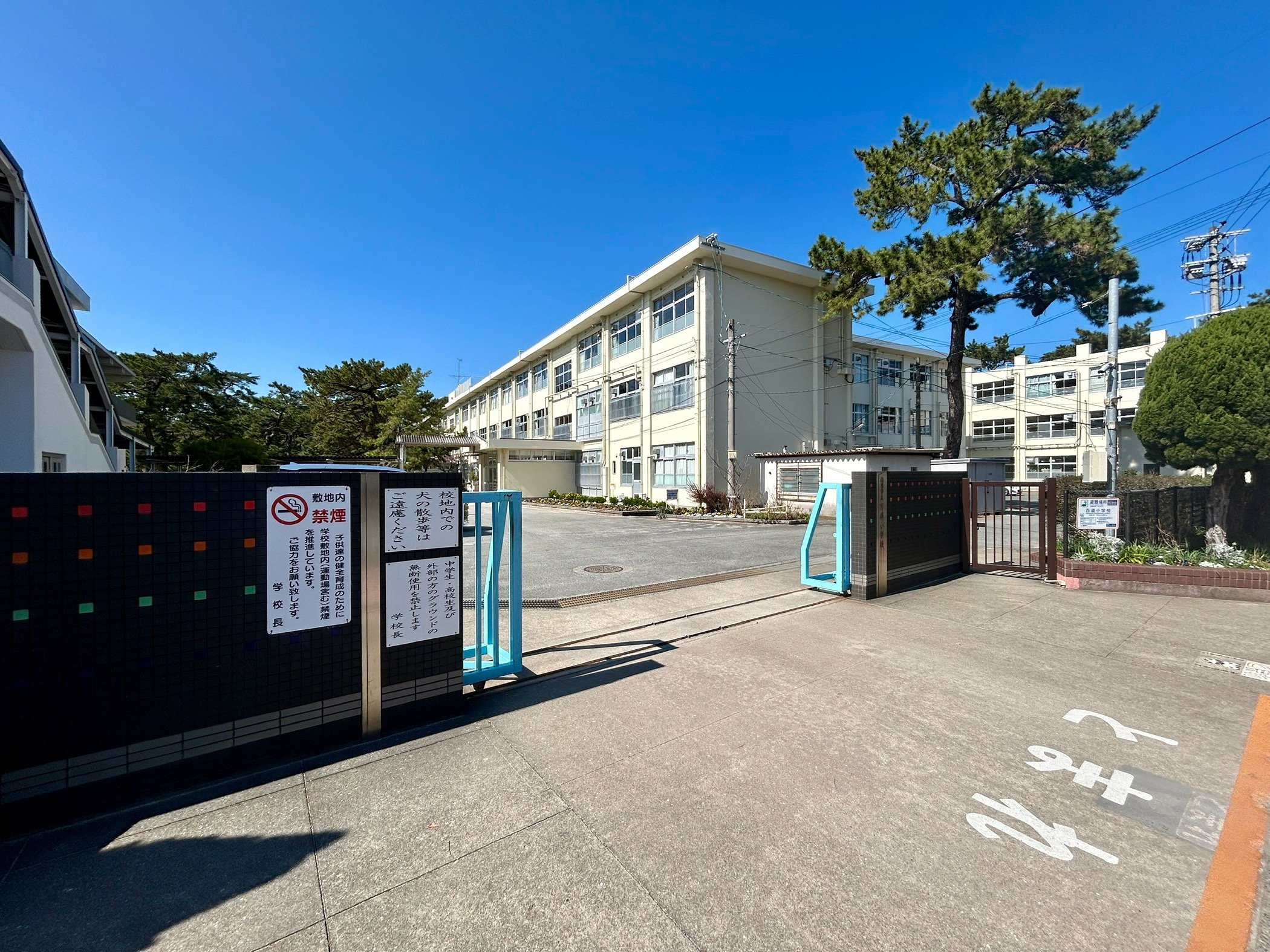 小学校　福岡市立百道小学校（小学校）まで407m