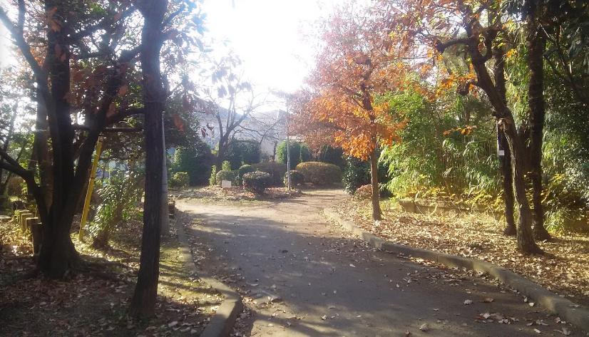 公園　野川緑地公園（公園）まで310m